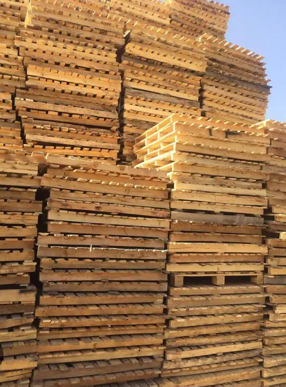 فروش پالت چوبی|ابزارآلات|بم, |دیوار