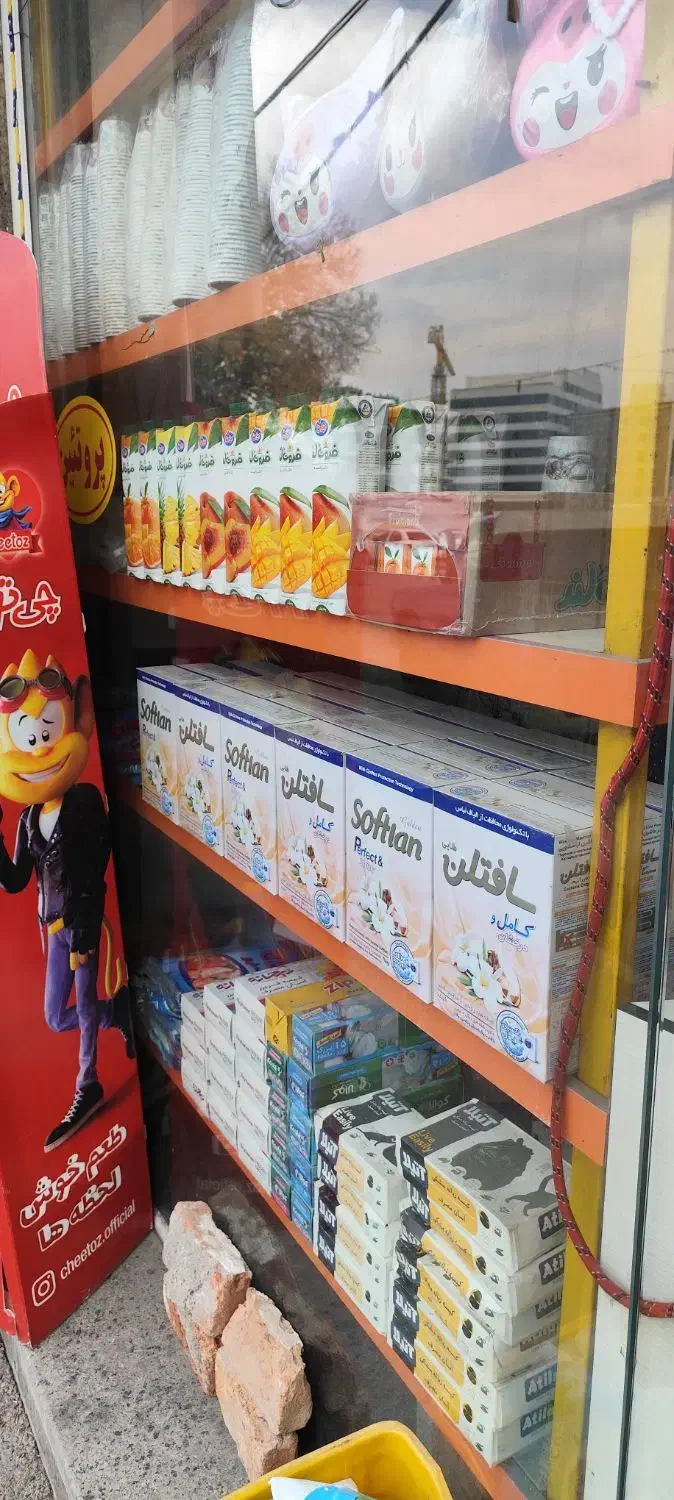 قفسه، شلف|کتابخانه، شلف، قفسه‌های دیواری|تبریز, |دیوار