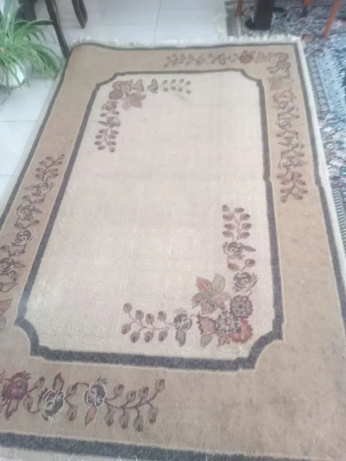 قالیچه|فرش|صدرا-فارس, فاز ۱|دیوار