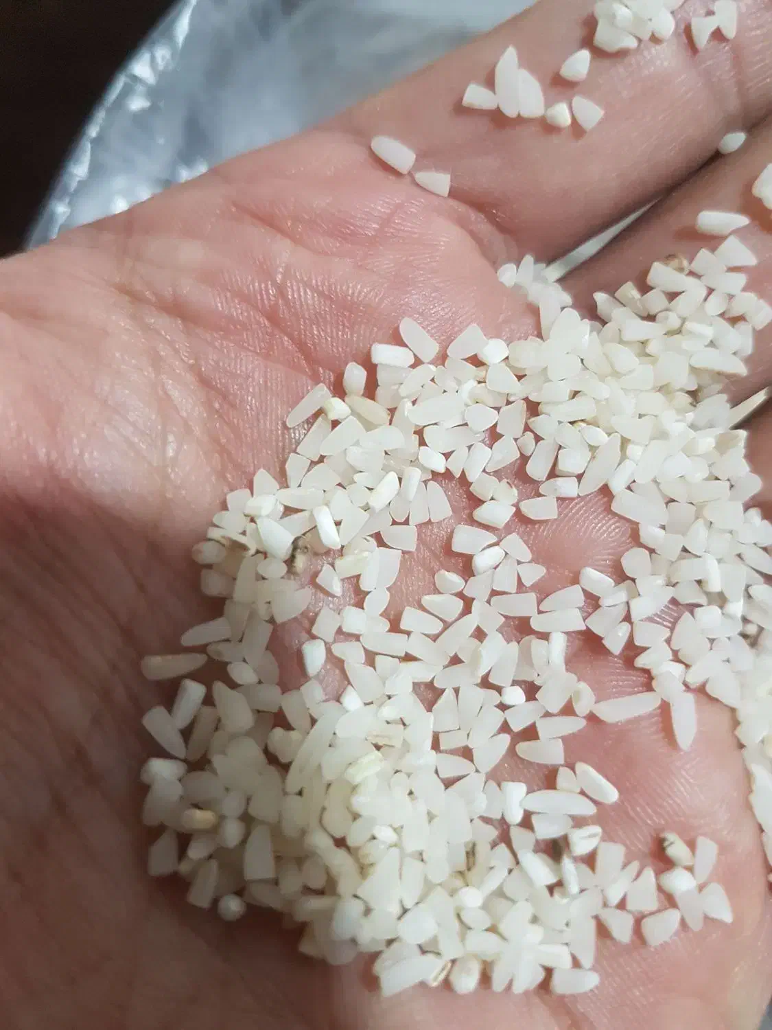 نیم دانه طارم هاشمی دابو|خوردنی و آشامیدنی|آمل, |دیوار