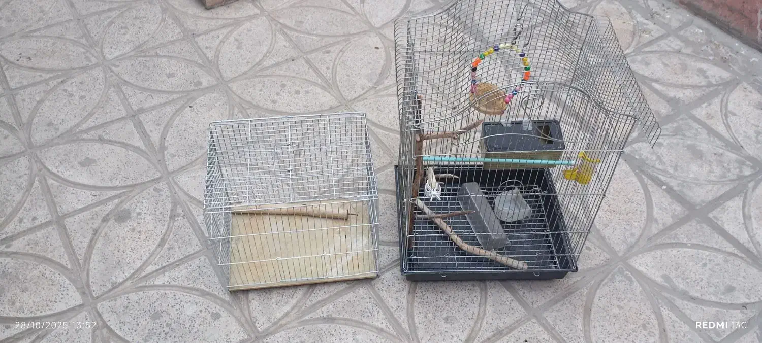 قفس پرنده|لوازم جانبی حیوانات|ری, حمزهآباد|دیوار