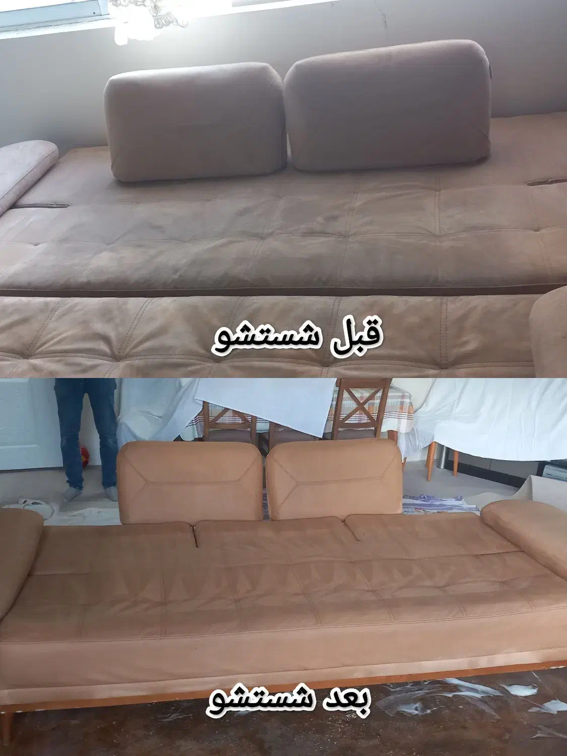 مبلشویی|خدمات نظافت|رشت, کاکتوس|دیوار