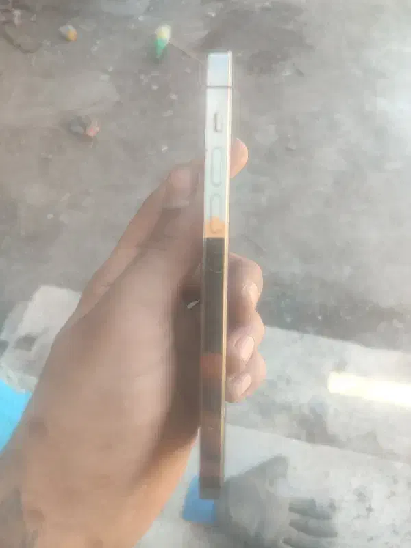 ایفن .12پرو|موبایل|کرمان, |دیوار