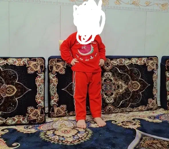 پشتی 1000 شانه|پشتی|قرچک, باقرآباد|دیوار