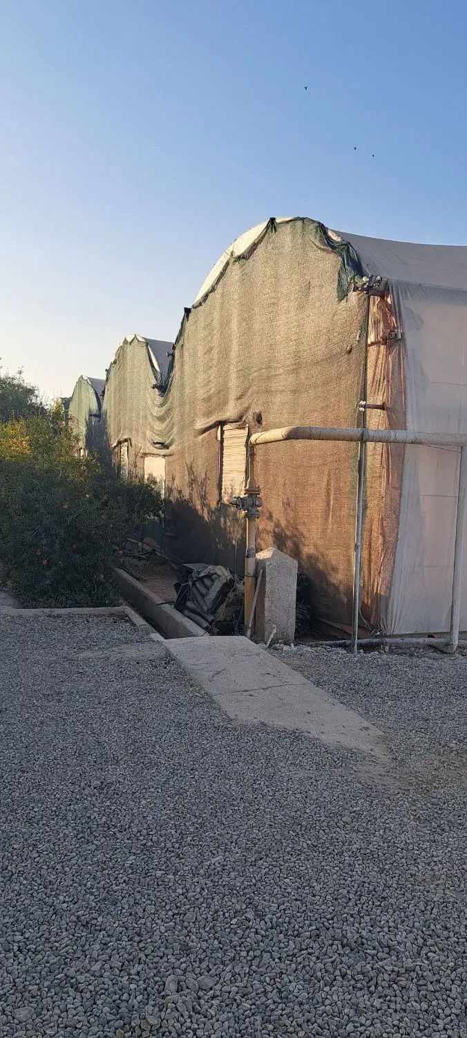 یک قطعه زمین و گلخانه ۱۳۰۰ متری طرح اسپانیایی|فروش دفتر صنعتی، کشاورزی، تجاری|پاکدشت, پاکدشت (مامازند)|دیوار