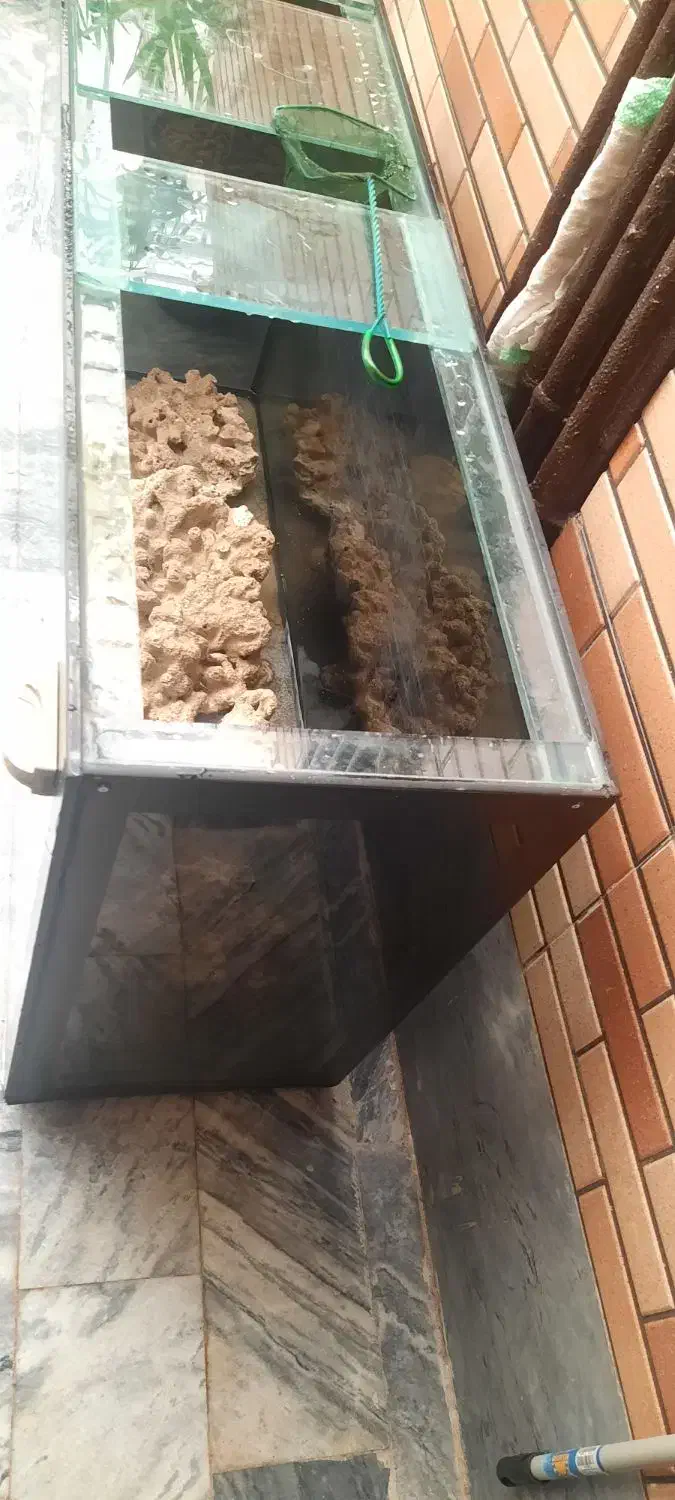 آکواریوم ۳۳۶لیتر|ماهی|پردیس, فاز ۸|دیوار