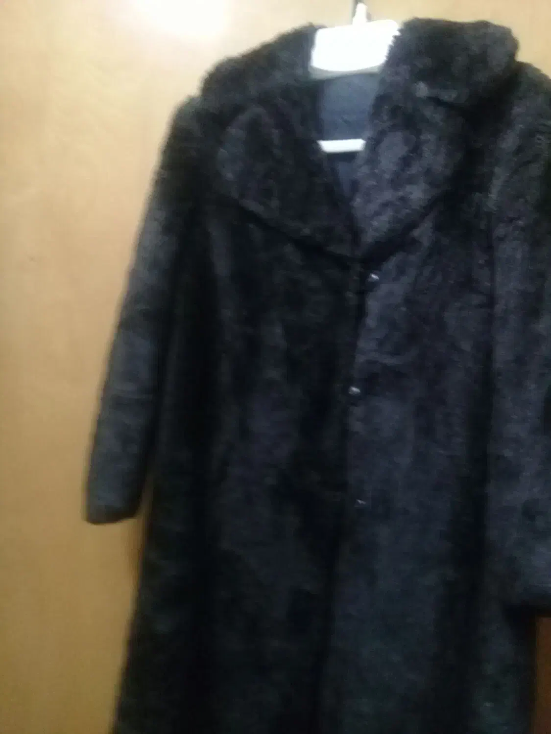 پالتو پوست زنانه|لباس|بیرجند, |دیوار