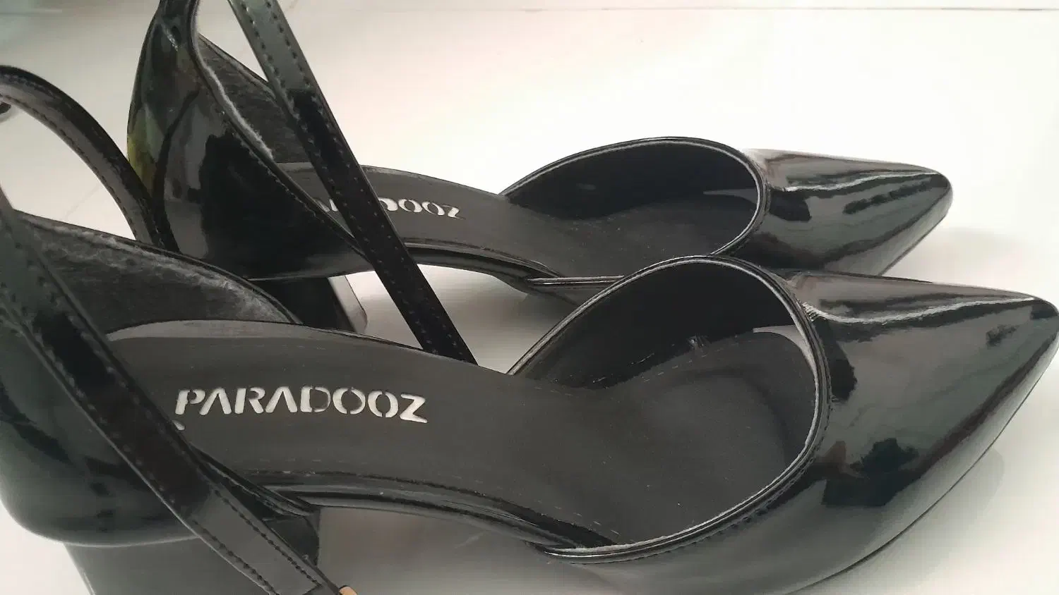 کفش مجلسی|کیف، کفش، کمربند|تربت‌حیدریه, قائم|دیوار