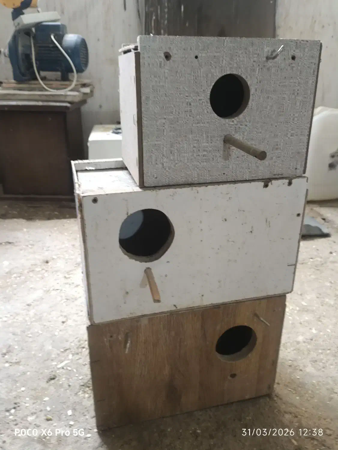 قفس و لونه|لوازم جانبی حیوانات|قزوین, |دیوار