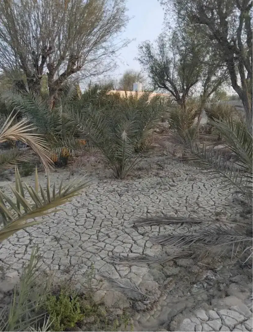 فروش خانه باغ زیرانگ|فروش خانه و ویلا|قشم, |دیوار