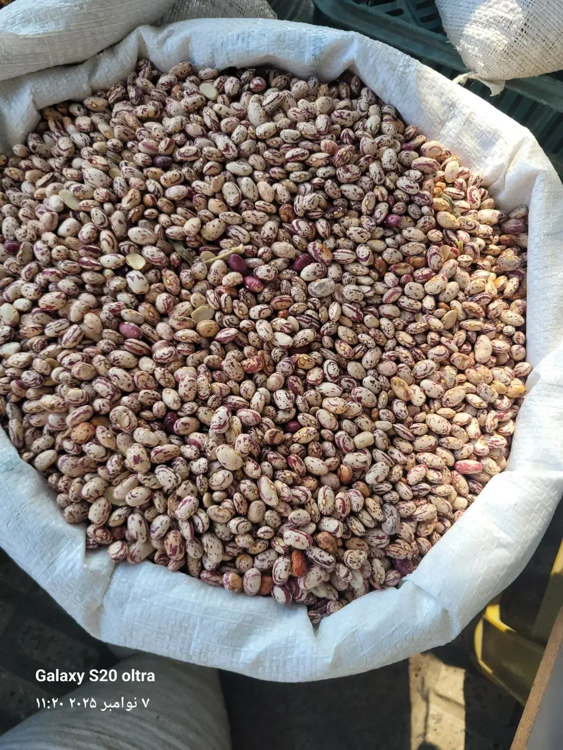 لوبیا چیتی|خوردنی و آشامیدنی|اهر, |دیوار