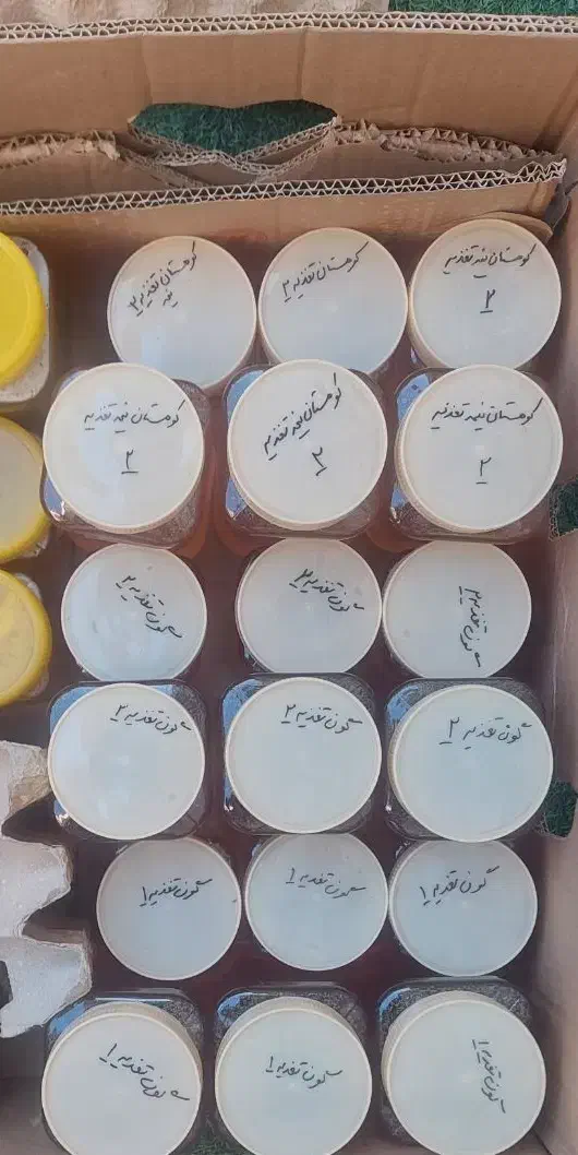 عسل|عمدهفروشی|خرامه, |دیوار