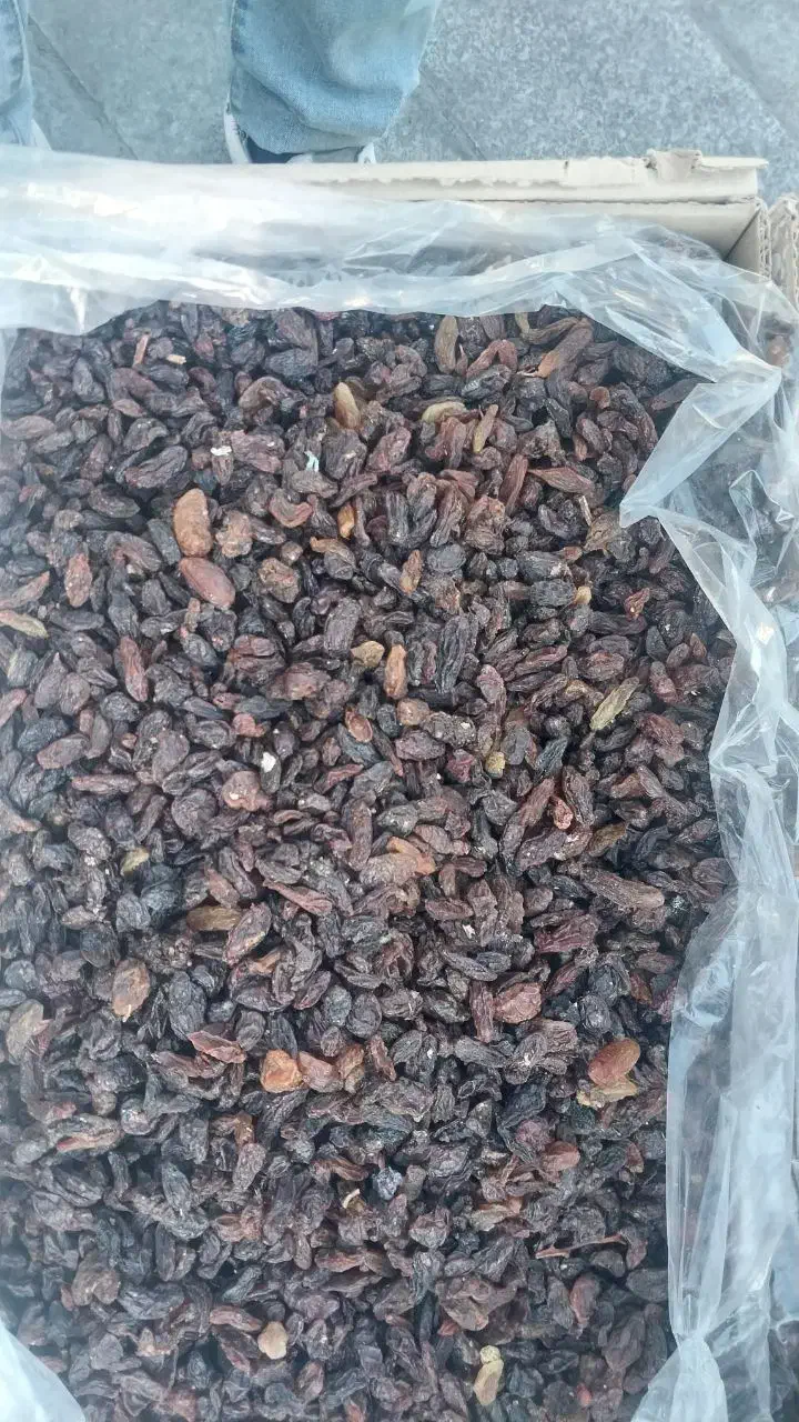 کشمش افتابی درجه ۱|خوردنی و آشامیدنی|یزد, |دیوار