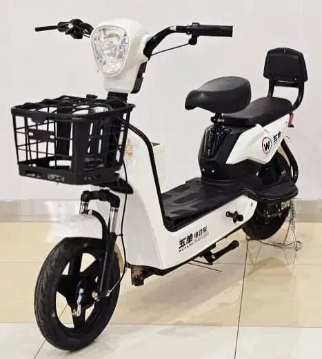 موتور برقی پاکشتی دونفره مارک E.BIKE قسطی بخر|دوچرخه، اسکیت، اسکوتر|اصفهان, بوستان ناژوان|دیوار