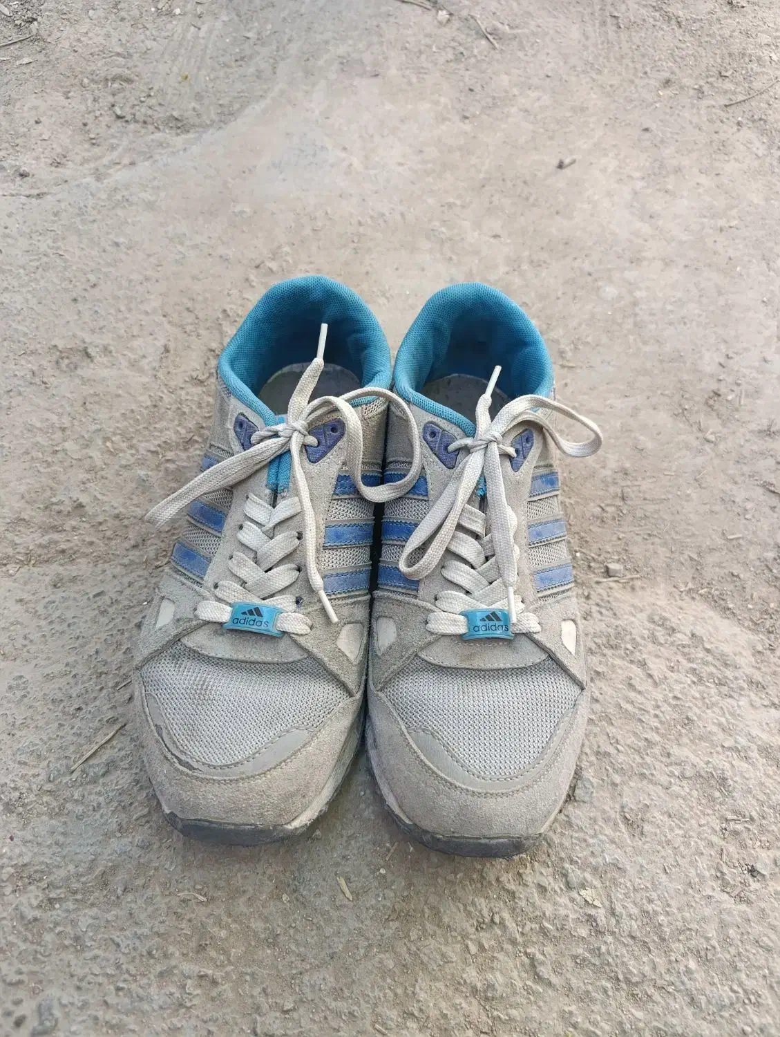 کفش|کیف، کفش، کمربند|کازرون, |دیوار