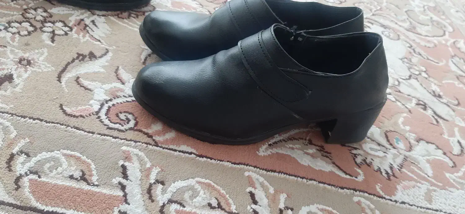 کفش|کیف، کفش، کمربند|ایلام, |دیوار