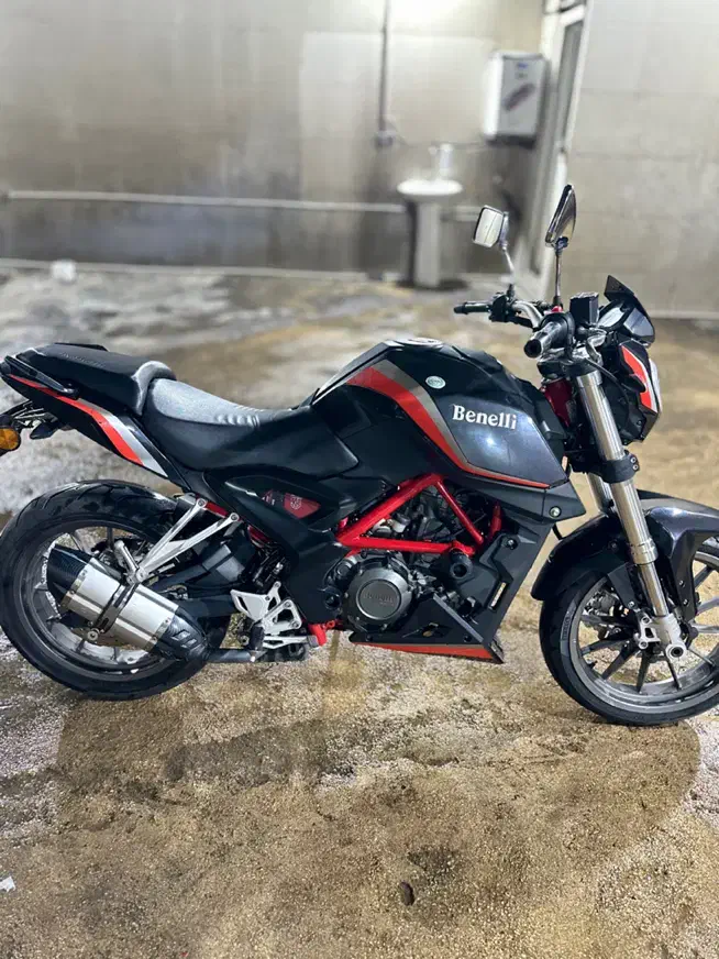 بنلی ۲۵۰|موتورسیکلت|شیراز, محراب|دیوار