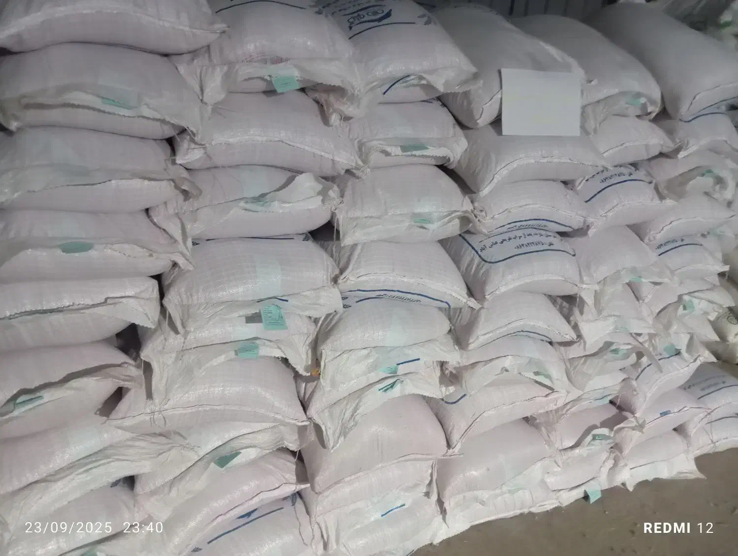 گندم دیم و آبی اصلاح نژاد لیبل دار|خدمات باغبانی و درختکاری|اراک, |دیوار