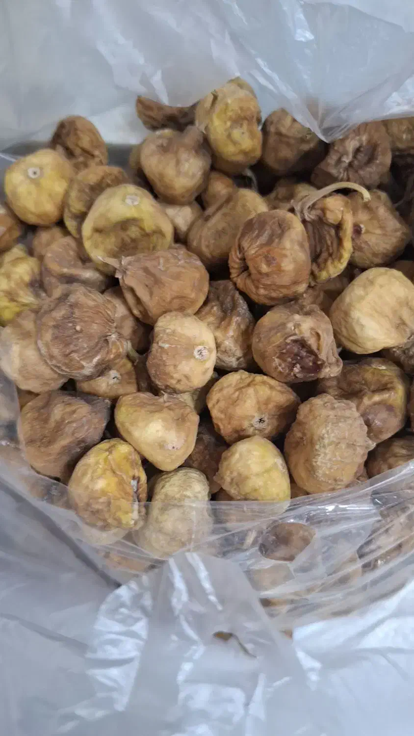 انجیر|خوردنی و آشامیدنی|قائن, |دیوار