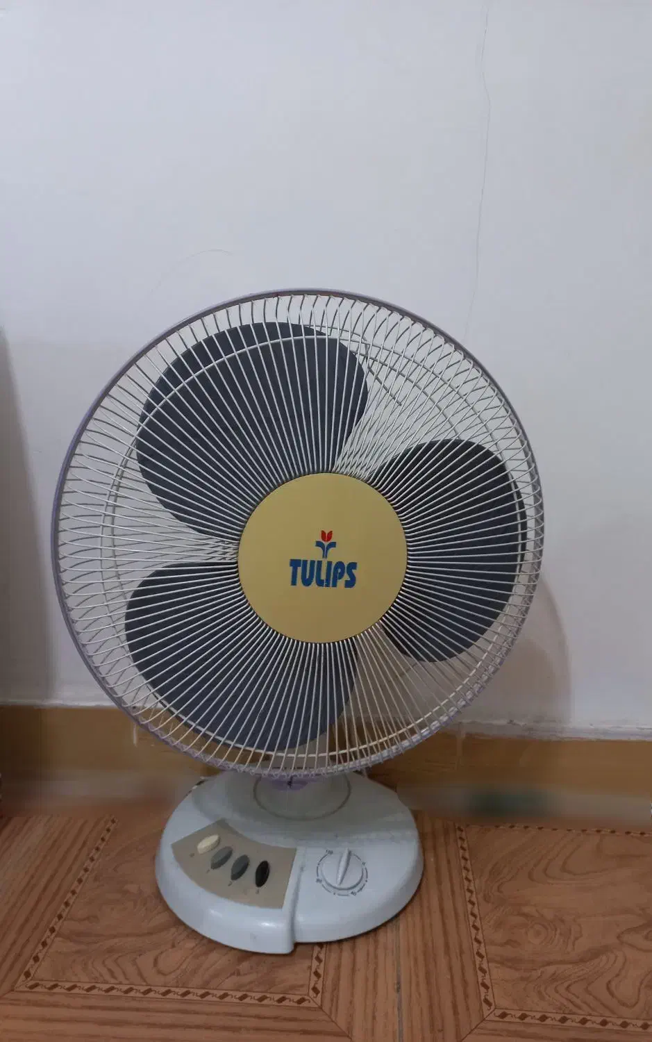 پنکه|پنکه و تصفیهکنندهٔ هوا|رشت, حمیدیان|دیوار