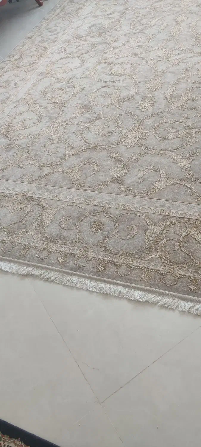 فرش ۱۲متری نقره کوب گل برجسته|فرش|بیرجند, |دیوار