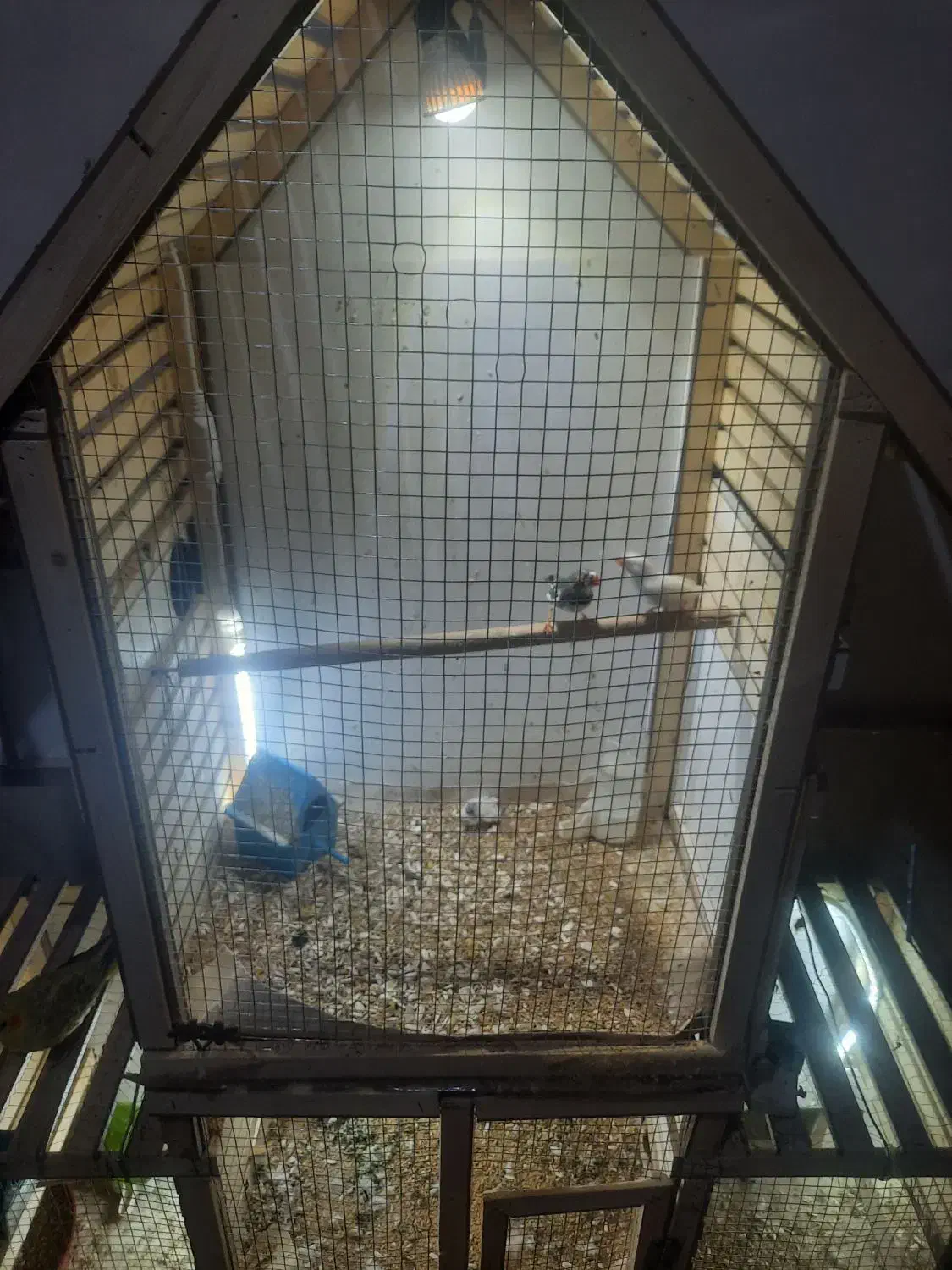 قفس بزرگ خوشگل|لوازم جانبی حیوانات|سبزوار, ولیعصر (نجار آباد)|دیوار