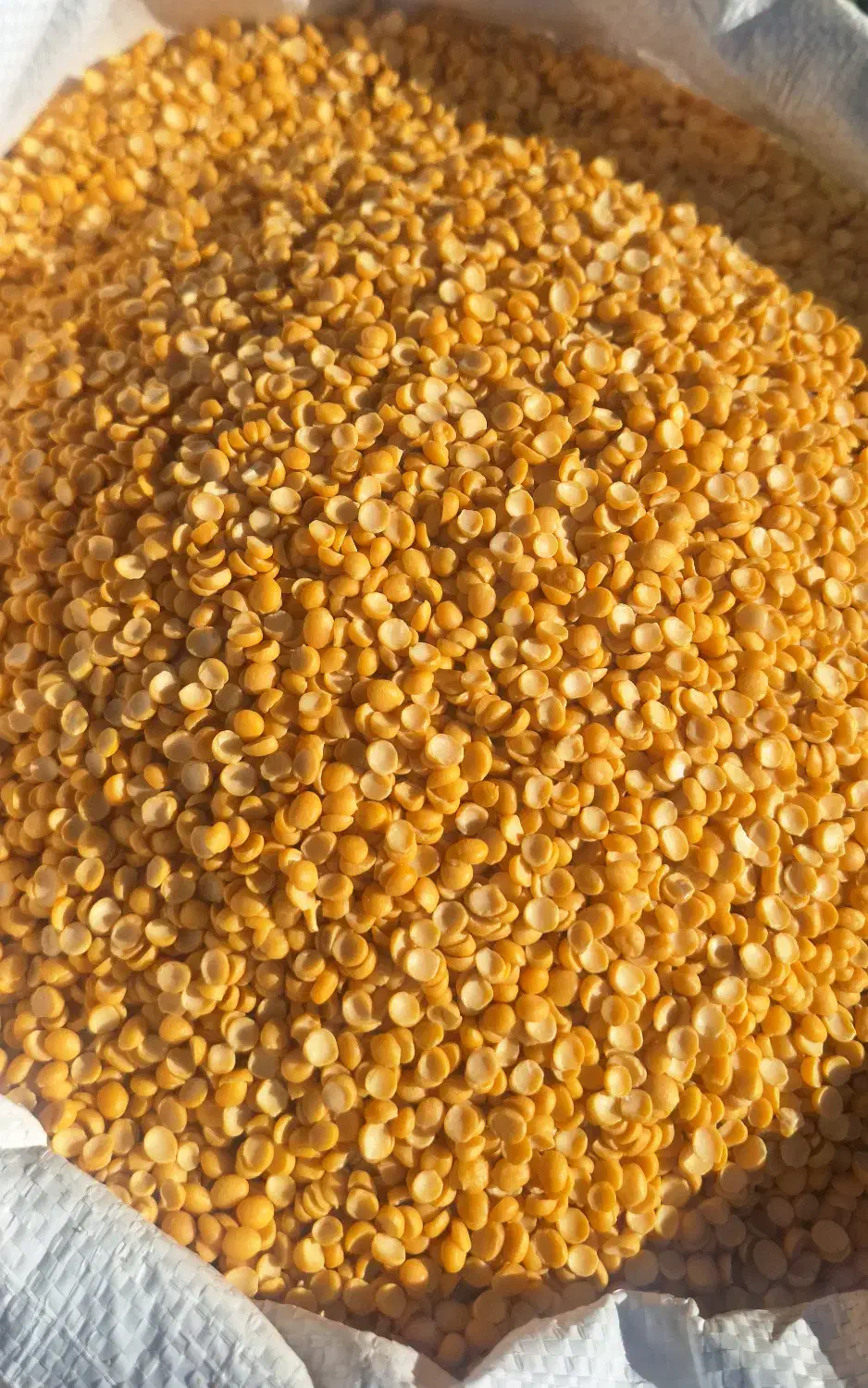 لپه آذرشهر (تبریز)|خوردنی و آشامیدنی|تهران, جمال‌زاده|دیوار