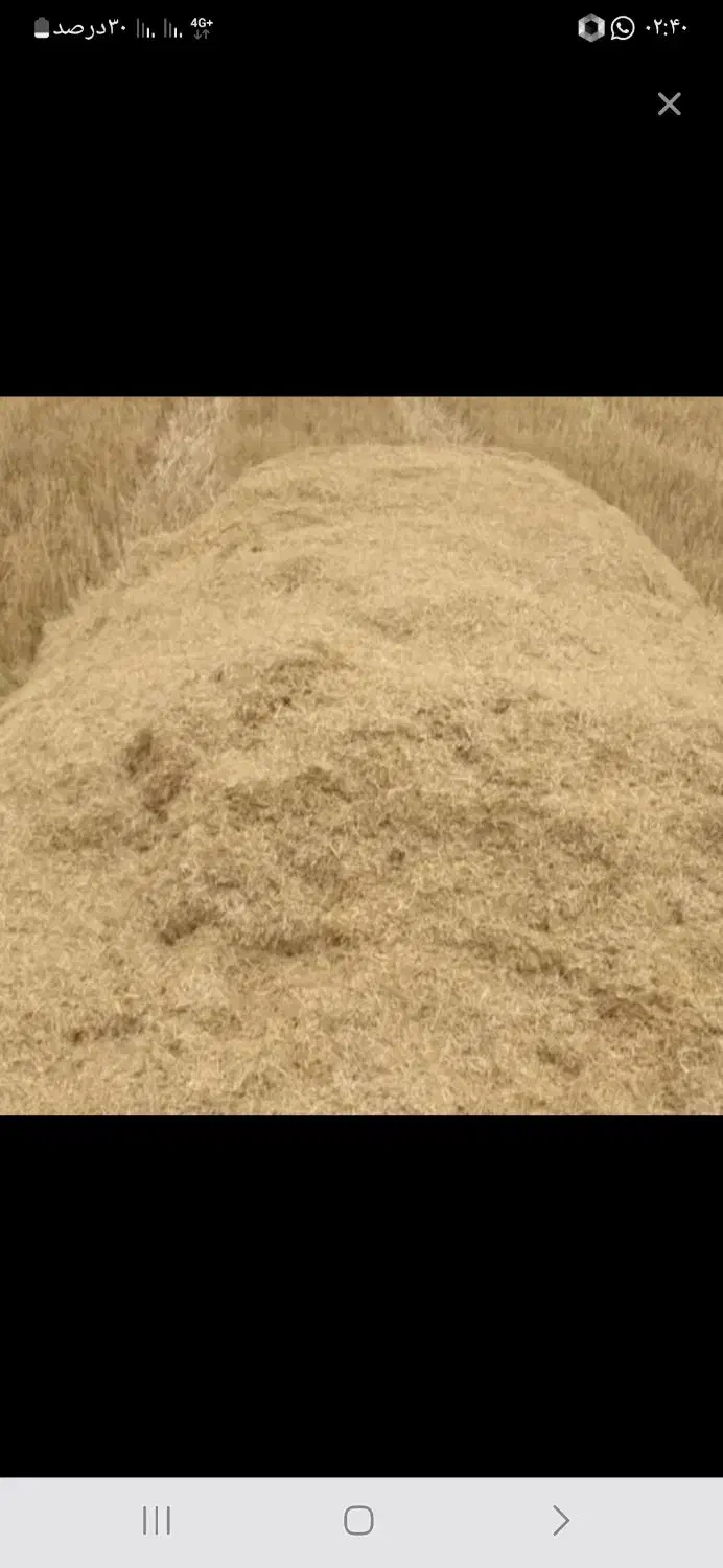 کاه نرم درجه یک کردستان|عمده‌فروشی|آمل, |دیوار