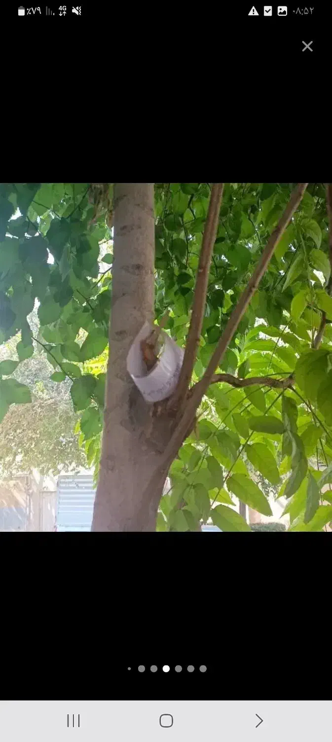 ۲۰۰۰|کتاب و مجله ادبی|نجف‌آباد, حومه نجف آباد|دیوار