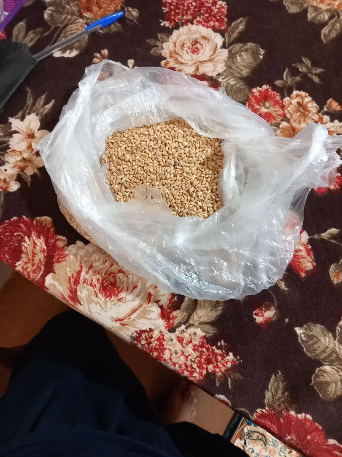 گندم بذری اراز ۱۲تن|خدمات باغبانی و درختکاری|گنبد کاووس, |دیوار