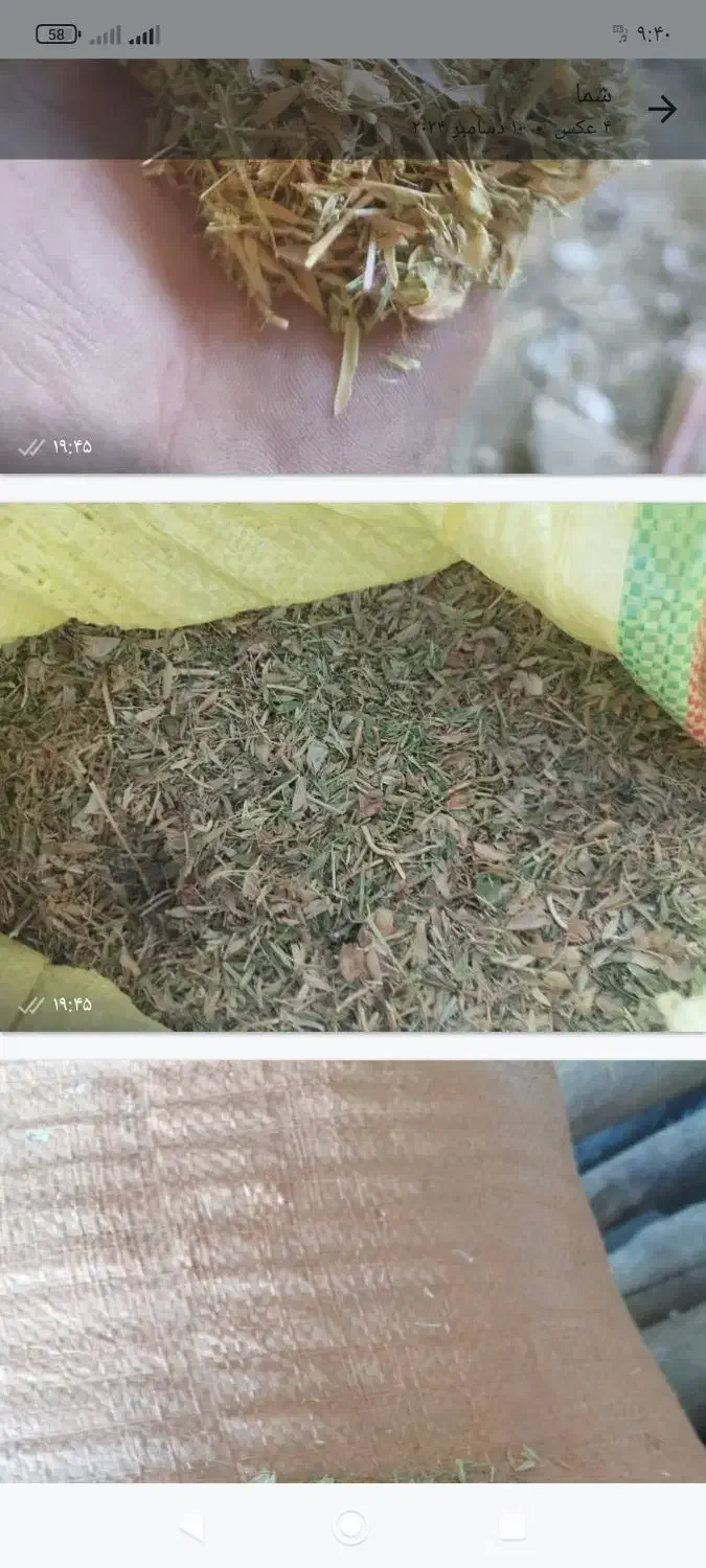 کاه‌عدس‌ سبز|لوازم جانبی حیوانات|رشت, کوی عرفان|دیوار