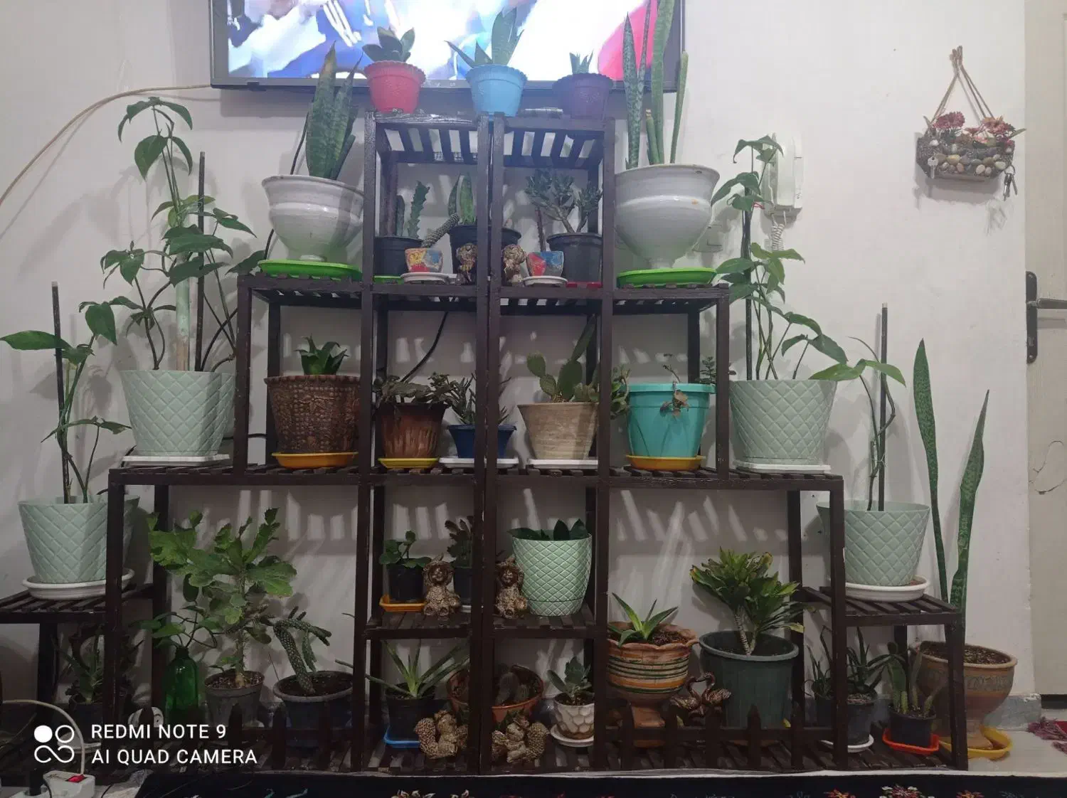 کمد و پایه ی گل|جاکفشی، کمد، دراور|قائن, |دیوار