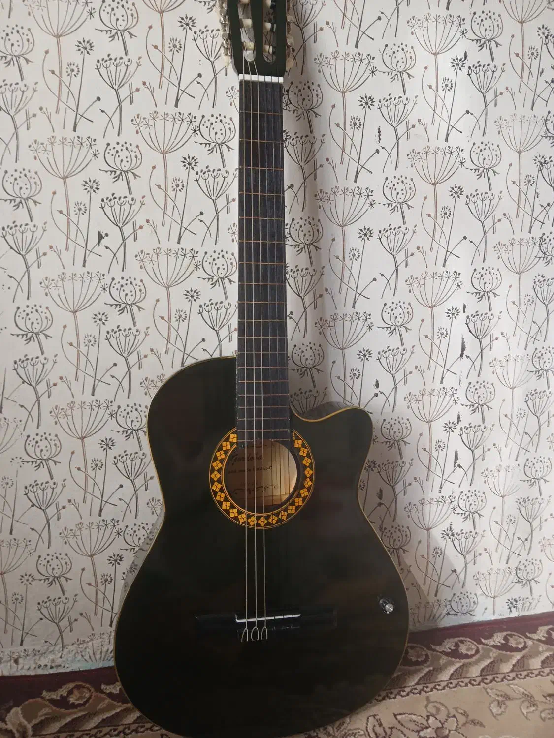 گیتار سیاه نوع|گیتار، بیس، امپلیفایر|آستارا, |دیوار