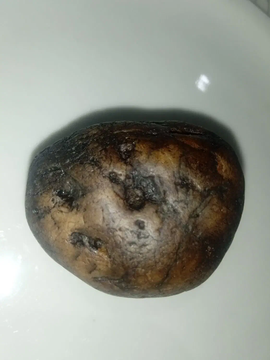 سنگ شفا درمان یا پادزهر|جواهرات|تهران, حشمتیه|دیوار