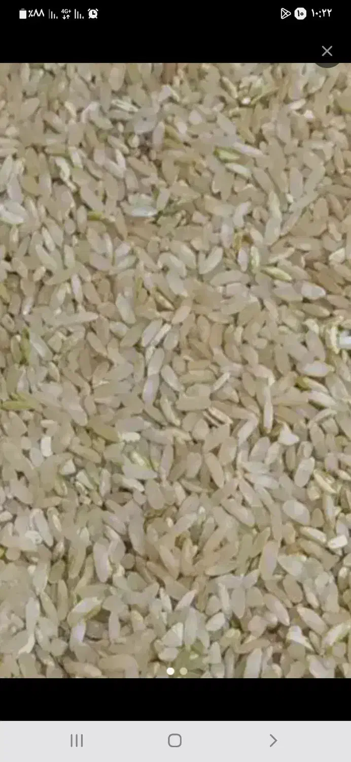 برنج|خوردنی و آشامیدنی|یاسوج, |دیوار