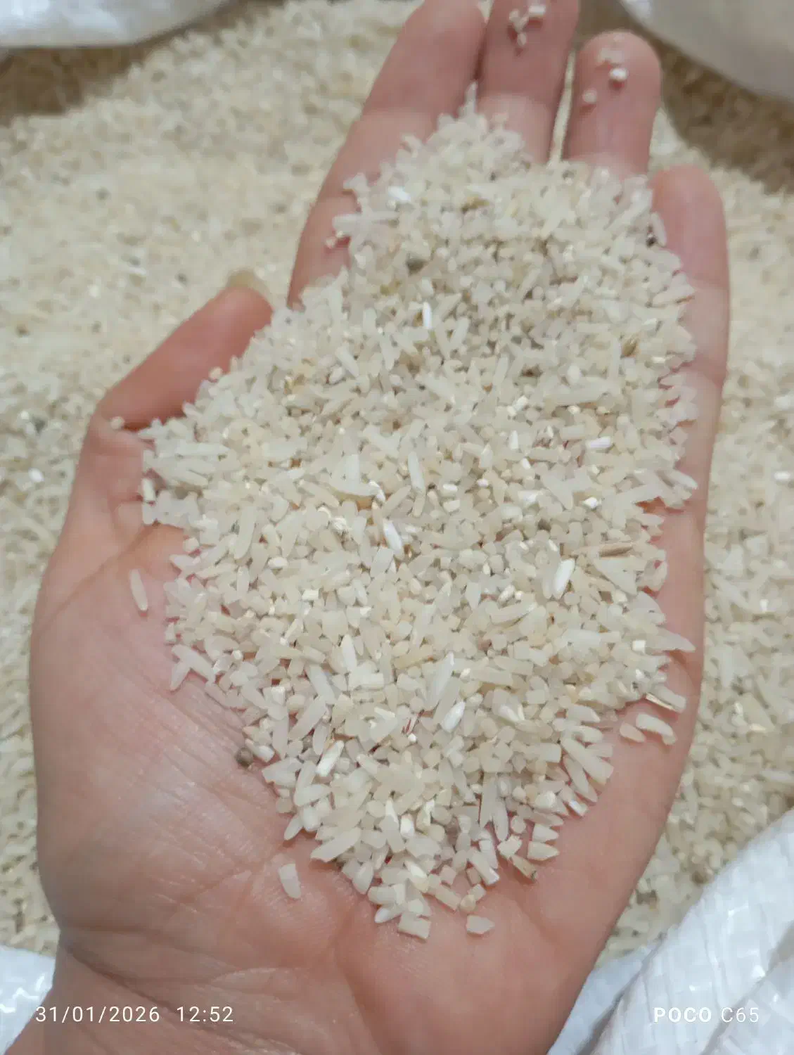 لاشه برنج فجر|خوردنی و آشامیدنی|خان ببین, |دیوار