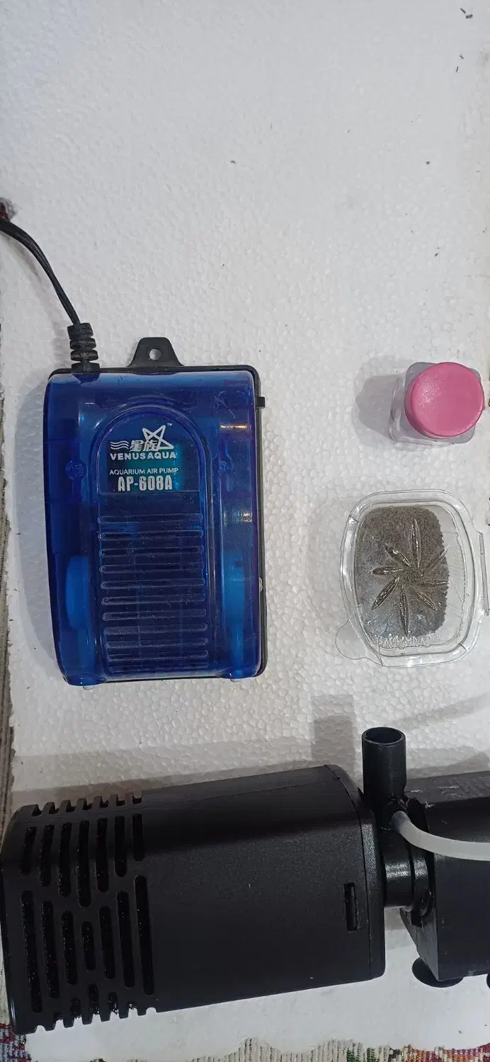 یک عدد آکواریوم سالم به همراه وسایل|ماهی|تربت‌حیدریه, رضاشهر|دیوار