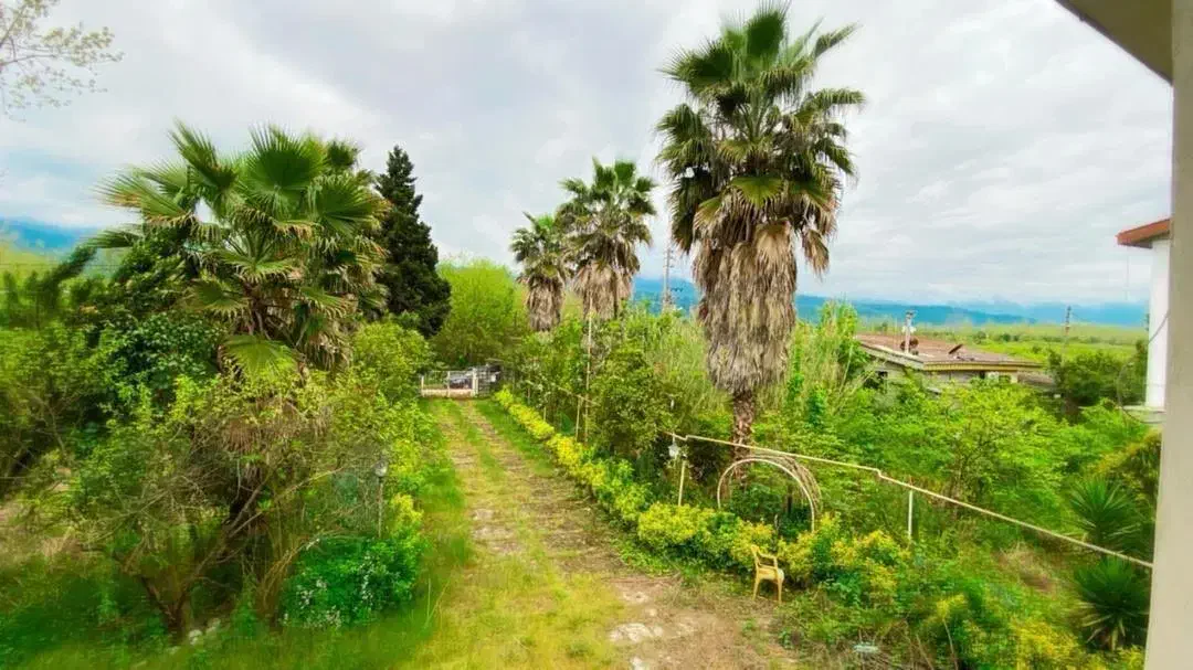 2800 متر زمین ۷ خوابه|فروش خانه و ویلا|عباسآباد, |دیوار