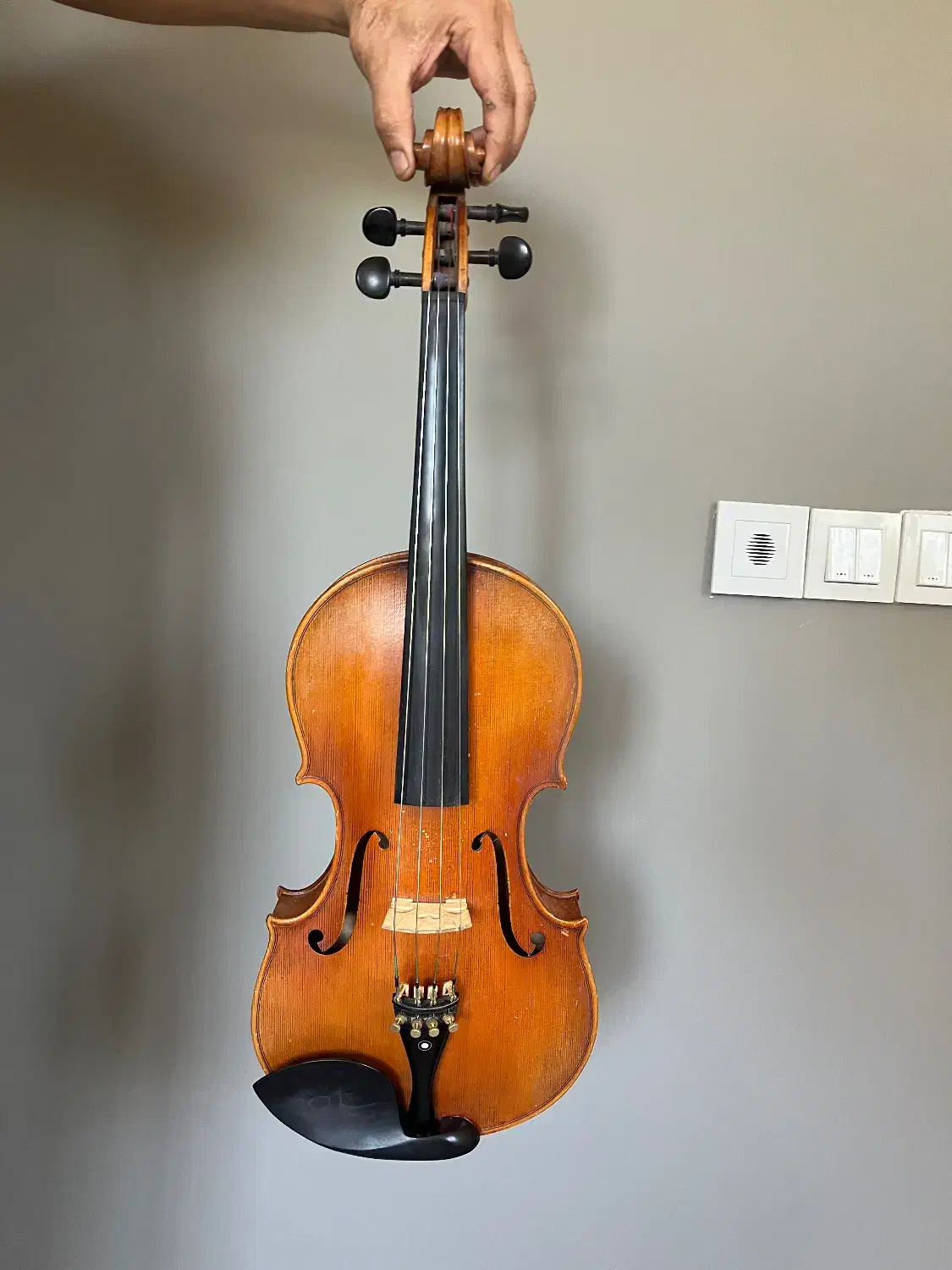 فروش ویولا (ویالن‌آلتو)|ویولن|تهران, اختیاریه|دیوار