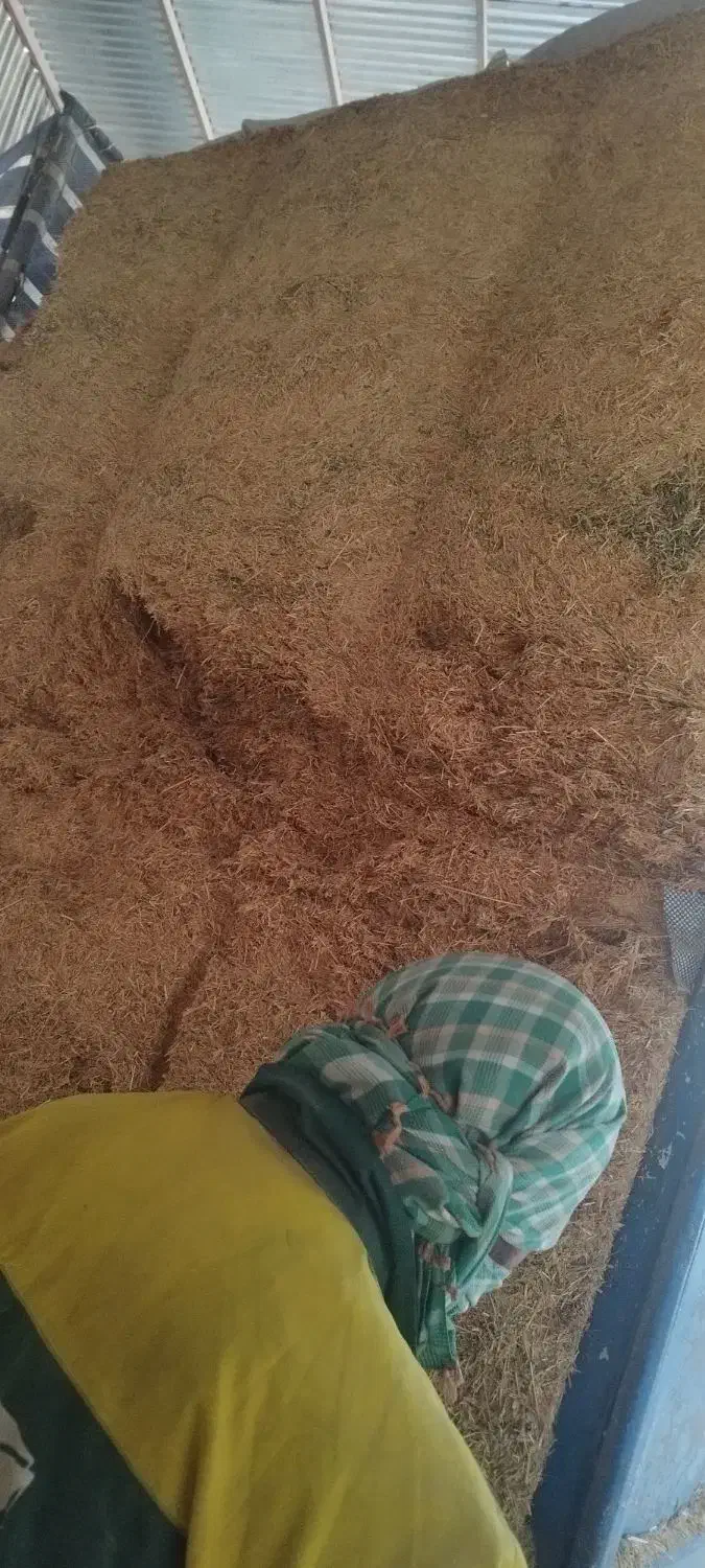 کاه|لوازم جانبی حیوانات|سردرود, |دیوار