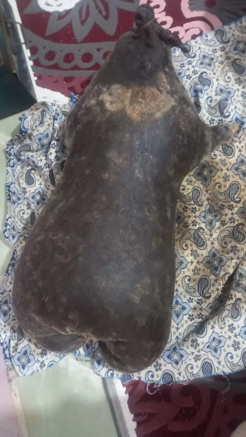 ۱۴۰۰|خوردنی و آشامیدنی|نورآباد, |دیوار