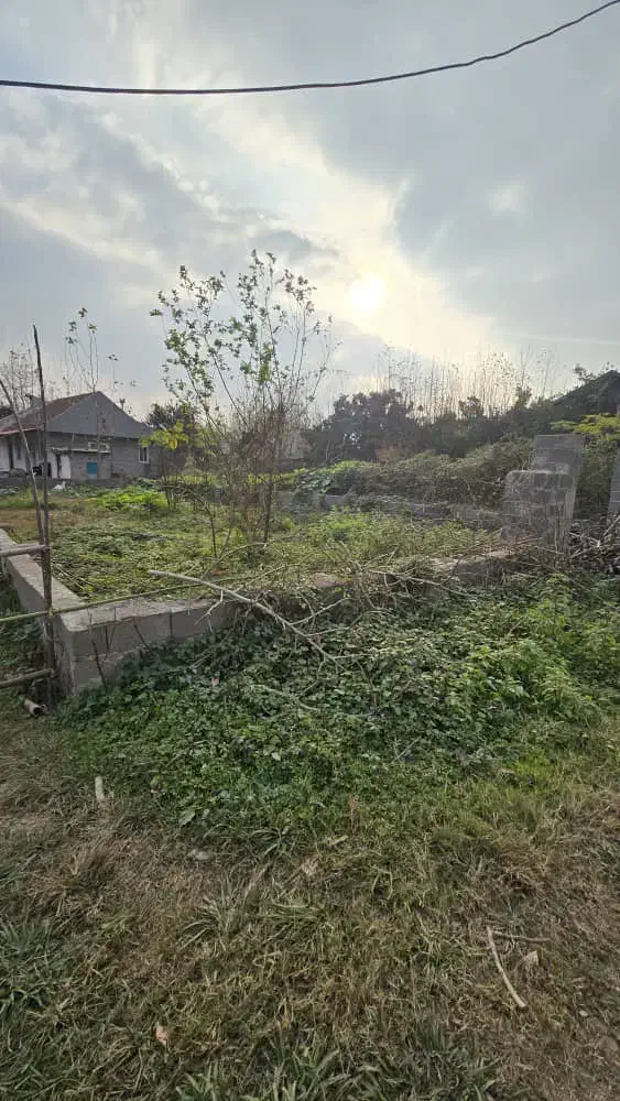 ۲۵۰ متر زمین مسکونی با نامه تاییدیه بنیاد مسکن|فروش زمین و ملک کلنگی|کوچصفهان, |دیوار