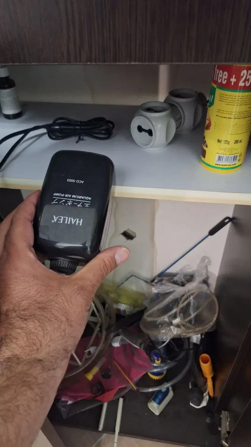 آکواریوم بهمراه لوازم کامل|ماهی|پردیس, فاز ۹|دیوار