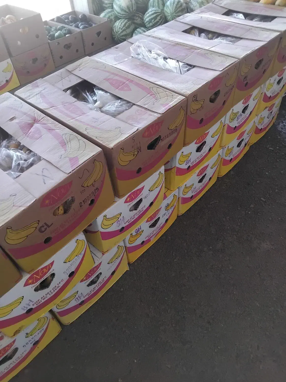 کارتن موز ی۳۰۰۰۰|ابزارآلات|بیرجند, |دیوار