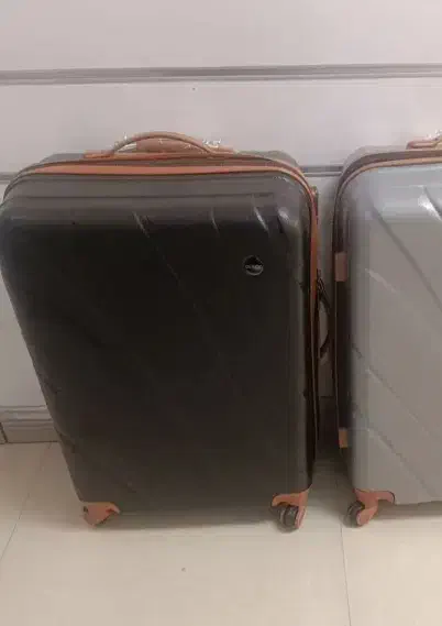 چمدان|کیف، کفش، کمربند|فردیس, فردیس|دیوار