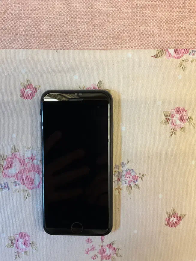 iPhone SE 2020|موبایل|مشهد, سلام|دیوار