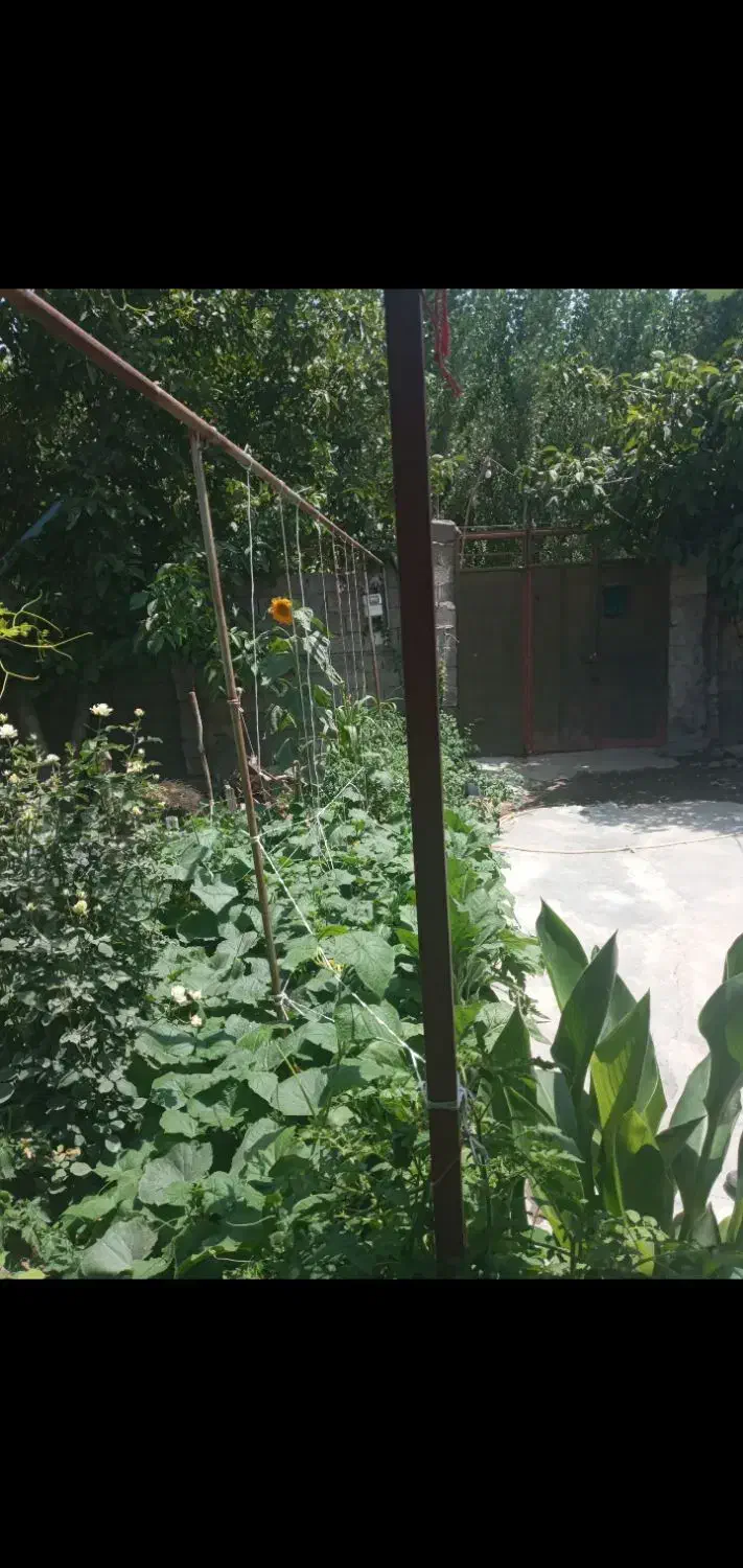 فروش یا معاوضه خونه ویلایی|فروش خانه و ویلا|قصابه, |دیوار