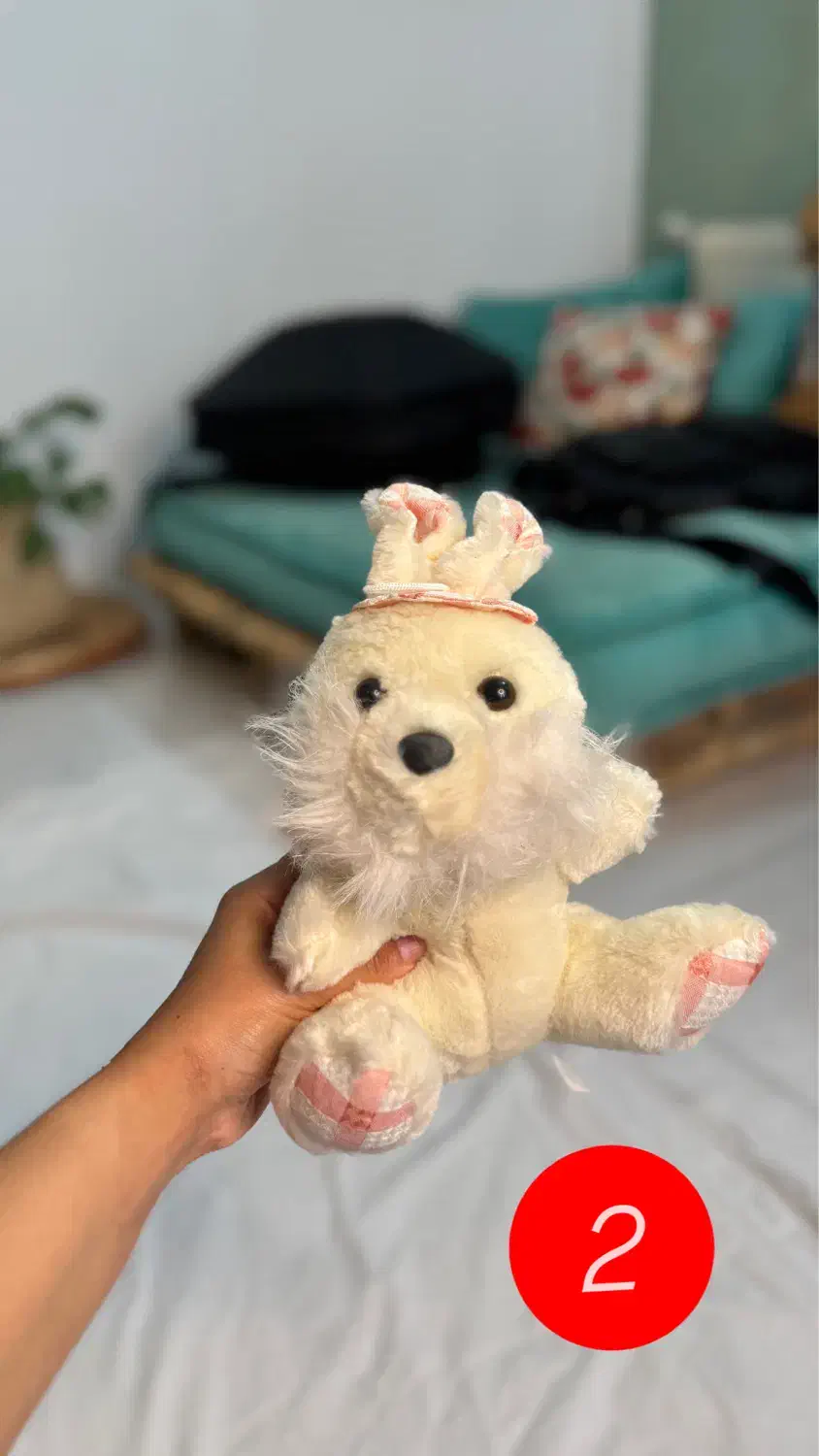 عروسک|اسباب‌‌بازی|مشهد, امیریه|دیوار