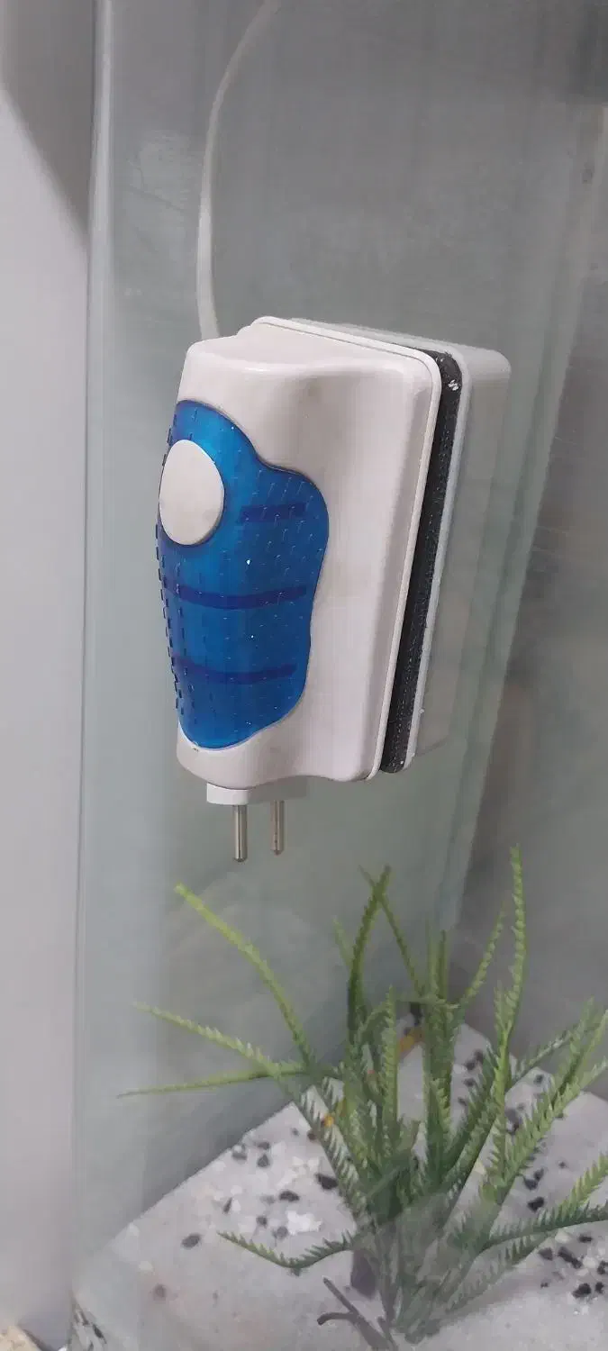 آکواریوم|ماهی|چهاردانگه (تهران), |دیوار