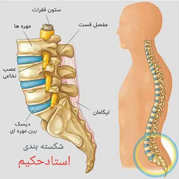مرکز طب سنتی و شکسته‌بندی حکیم|خدمات آرایشگری و زیبایی|تهران, هفده شهریور|دیوار